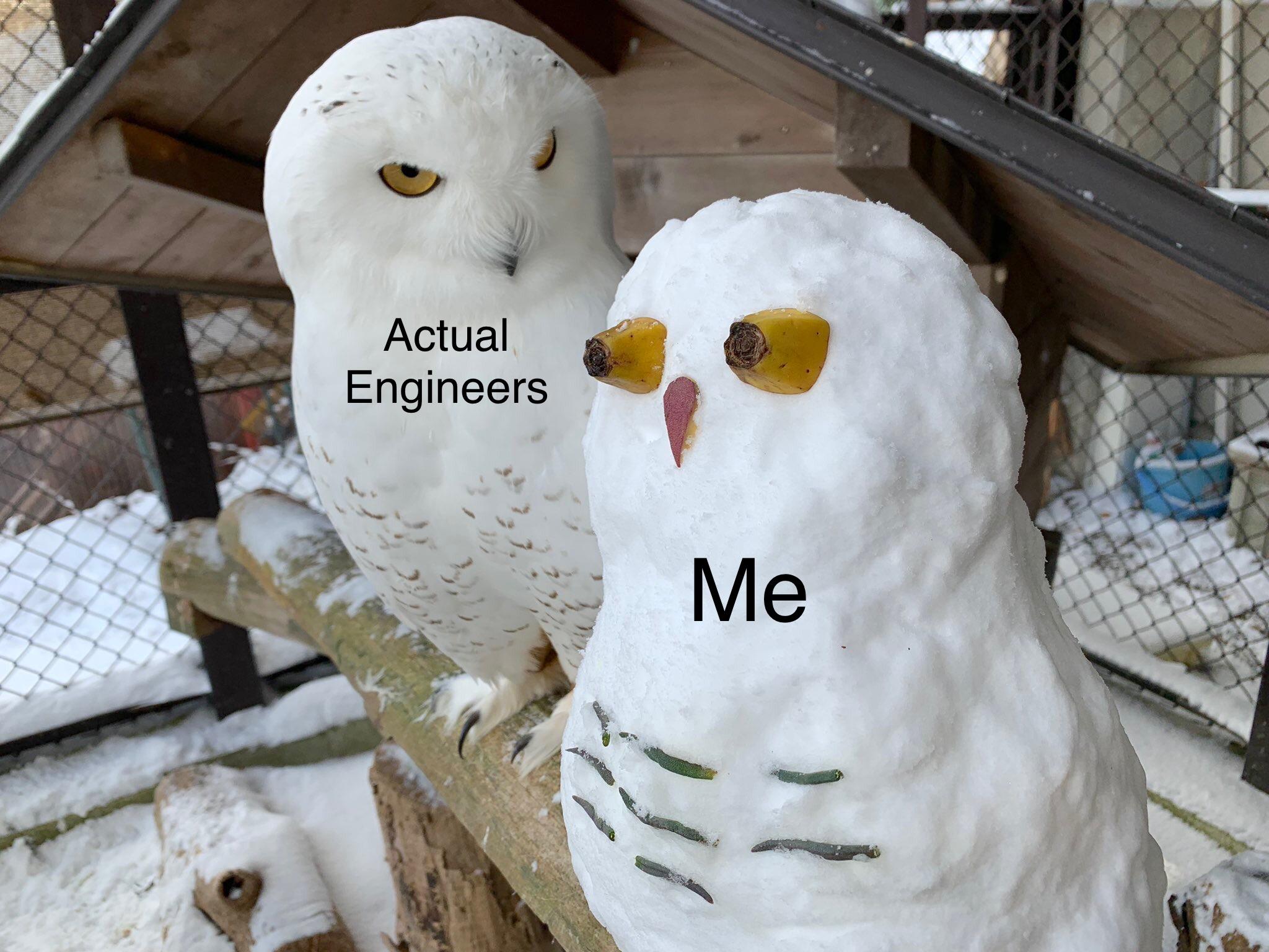 meme of a real owl, labelled actual engineers, staring suspiciously at a snow made owl, labelled me